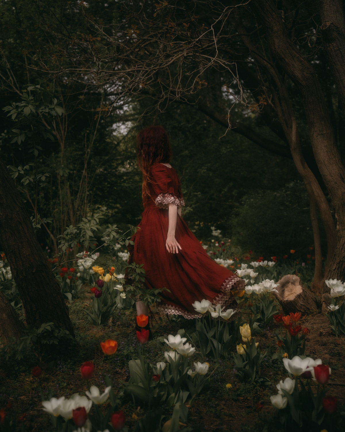 Elowen 27 | Lace velvet dress gown ( 2 way to wear )