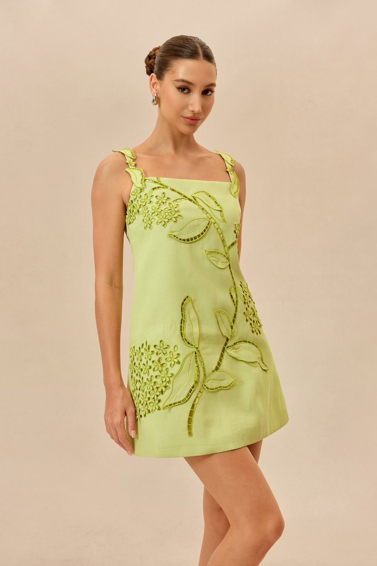 Feeling Fresh Light Green Floral Embroidered Sleeveless Mini Dress