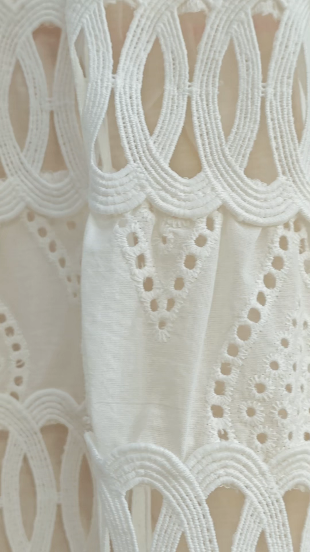 Sleek Essence White Sleeveless Embroidery Lace Mini Dress
